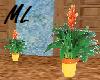ML~Exotic Bromeliad