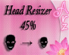 [Arz]Head Resizer 45%