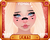 [Pets] Pawla | Xilenne