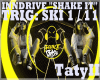 Inndrive Shake It