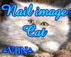Nail image cat