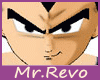 Vegeta Awesome Outfit