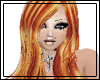 Dark Irish Red Noahshes