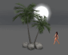 -- palm tree + stones --