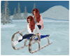 Animated 3 Person Sled