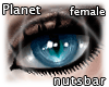 n: cat's eyes blue /F