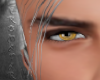 X witcher eyes