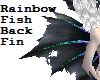 Rainbow Fish Back Fin