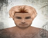 Di Caprio Blonde