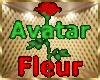 F/H avatar fleur 