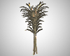 Cornstalk Bundle Mesh