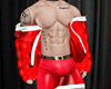 Add On Christmas jacket