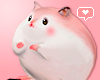 ! Chubby hammy pink