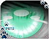 [Pets] Zeni | eyes v2