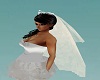 wed veil and tiara