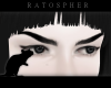 Sourcils Reglisse