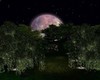 romantic moon light park
