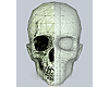 Skull / Zombie Mesh Head