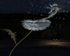 Animated Dandelion Fairy