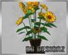[BG]Potted Sunflower
