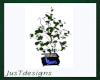 Blues Room Planter Tree1 Blues Room Planter Tree1