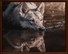 6v3| 🐺