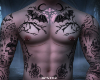 !FTM TRANS TATTS!