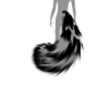 Black and white tail
