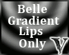 (V3N) Belle GradientLip1
