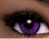 J&N Purple-Eyes