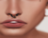 Septum b