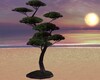 FA:ð· Bonsai Tree