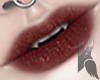 K. Christ. Lips lV.XlV