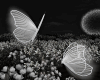 Butterfly Lights