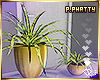 ღ Metallic Plant Pot