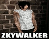 WEB-Zkywalker