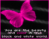 you are