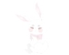 White bunny