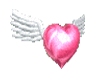 Pink Winged Heart