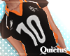Karasuno Shoyo #10 - Q