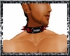 (D)Dren's collar