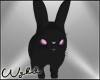Rabbit Oracle 🪑