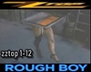ZZ Top Rough Boy