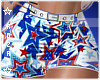 🆁4th July Skirt L