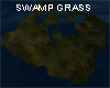 SWAMP GRASS