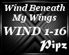 *P*Wind Beneath My Wings