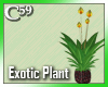 [C59] Exotic Yellow