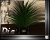  potted  plant