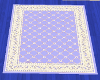 Pale Blue and Cream Rug