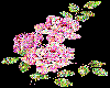 3 PINK SPARKLE ROSES